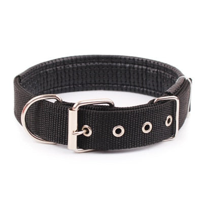 Nylon Dog Collar