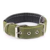 Nylon Dog Collar