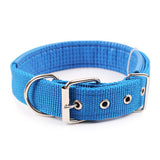 Nylon Dog Collar