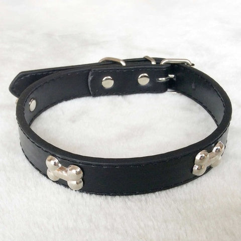 Leather Dog Collar For Small Dogs