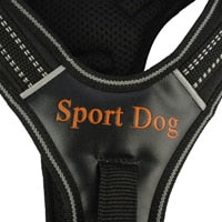 Dog Harness Pulling Training