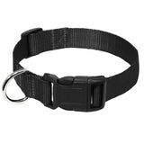 Nylon Webbing Dog Collar