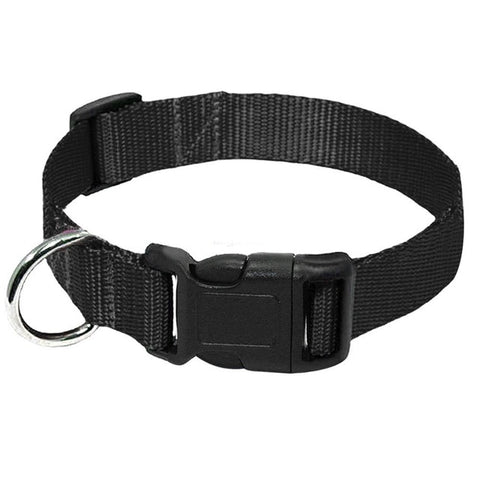 Nylon Webbing Dog Collar