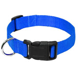 Nylon Webbing Dog Collar