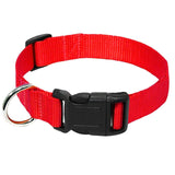 Nylon Webbing Dog Collar