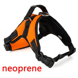 Large Dog Harness