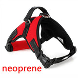 Large Dog Harness