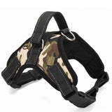 Dogs Harness