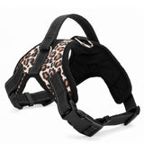 Dogs Harness