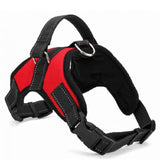 Dogs Harness