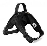 Dogs Harness