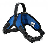 Dogs Harness