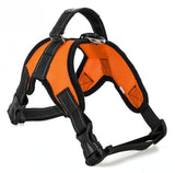 Dogs Harness