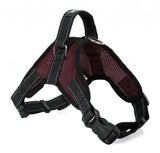 Dogs Harness
