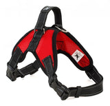 Dogs Harness