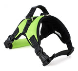 Dogs Harness