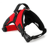Dogs Harness
