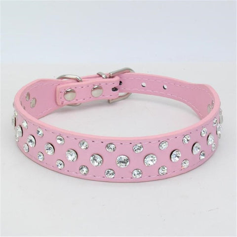 Dogs Collars