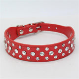 Dogs Collars