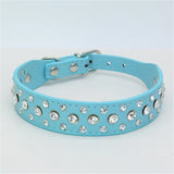 Dogs Collars