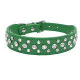 Dogs Collars