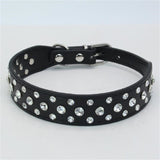 Dogs Collars