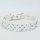 Dogs Collars