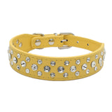 Dogs Collars