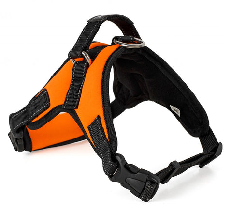 Dogs Harness