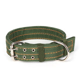 Strong Canvas Dog Collar