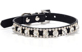 Small Dog Collar