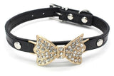 Small Dog Collar