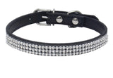 Small Dog Collar