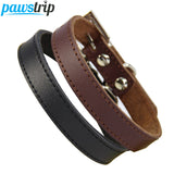 Leather Dog Collar