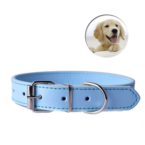 Leather Dog Collar