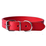 Leather Dog Collar