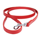 Leather Dog Collar