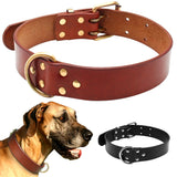 Luxury Leather Dog Collar