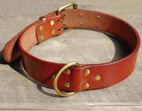 Luxury Leather Dog Collar