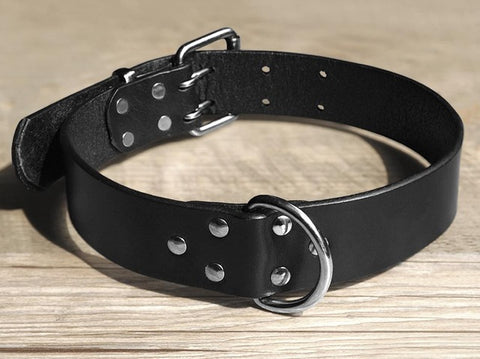 Luxury Leather Dog Collar