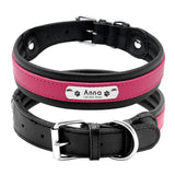 Dog Collar Genuine Leather
