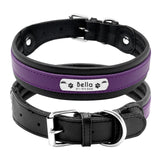 Dog Collar Genuine Leather