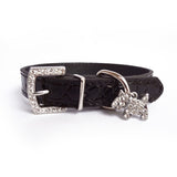 Crystal Dog Collar