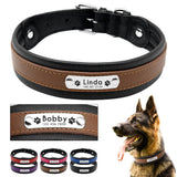Dog Collar Genuine Leather