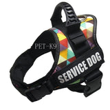 Reflective Rope Dog Harness