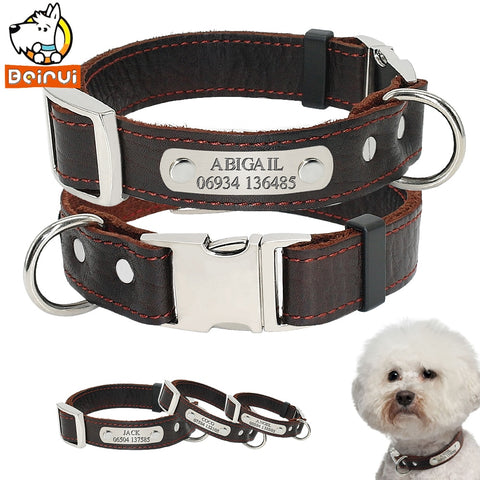 Personalized Customized Dog Collar
