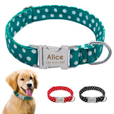 Personazlied Dog Collar