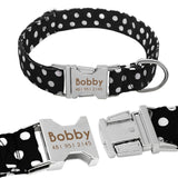 Personazlied Dog Collar