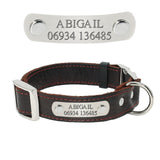 Personalized Customized Dog Collar