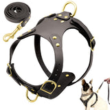 Dog Harness Leash Set